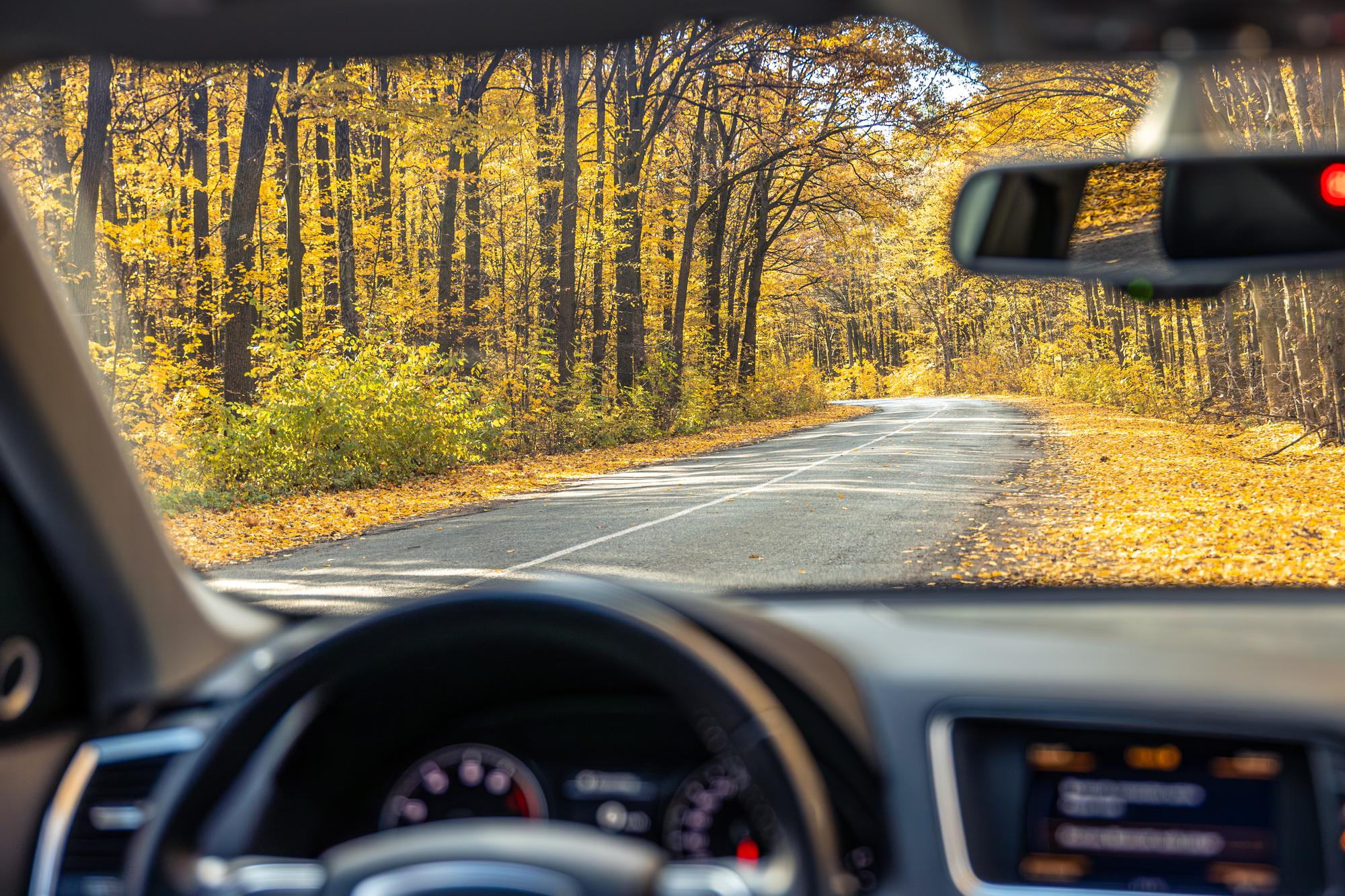 Adult driving lessons